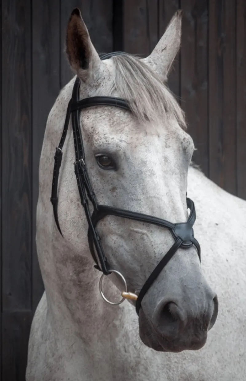 Henry James Grackle Bridle with Flexure Curve Headpiece - Brown-1